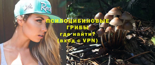 трава Зеленокумск